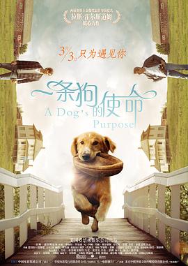 一个偏远族群的故事,为何能够成为现代都市人心理治愈的良方?